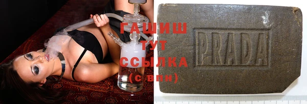 сатива Козельск