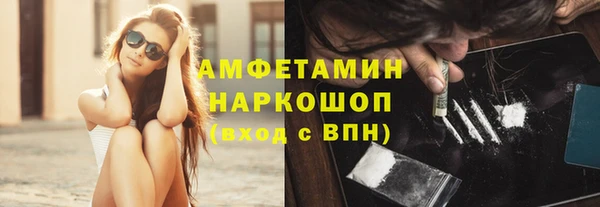 сатива Козельск