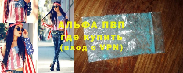 сатива Козельск