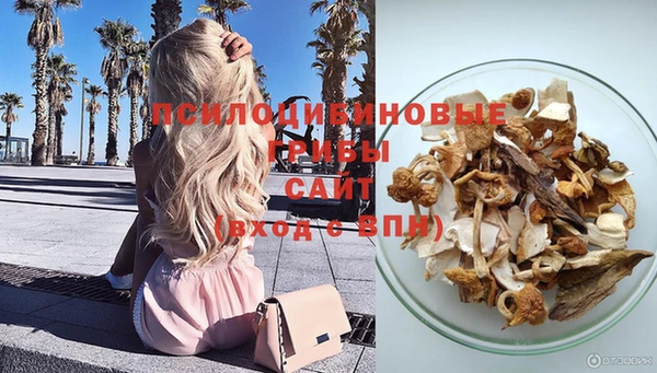 сатива Козельск