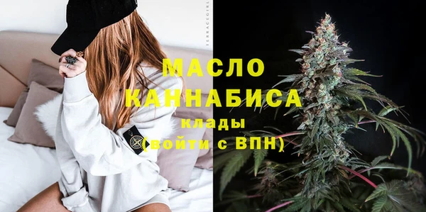 сатива Козельск