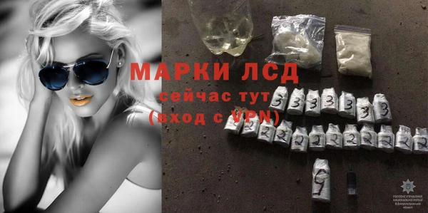 сатива Козельск