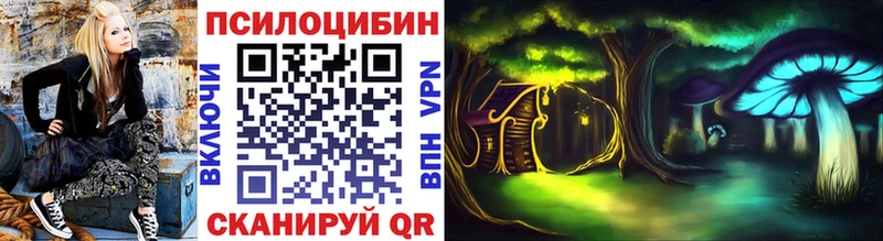 купить наркотик  omg рабочий сайт  Псилоцибиновые грибы MAGIC MUSHROOMS  Ессентукская 